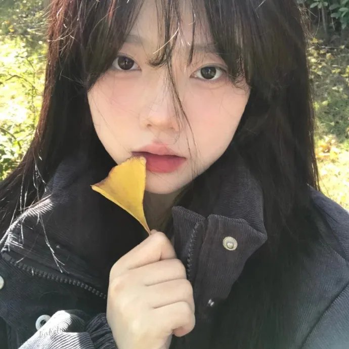 流星的启示